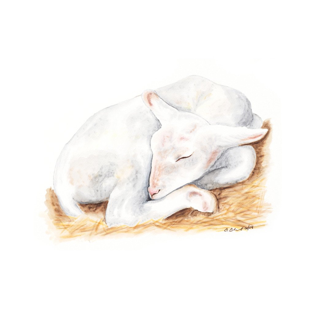 1024x1024 Sleeping Baby Lamb Nursery Art Tiny Toes Design