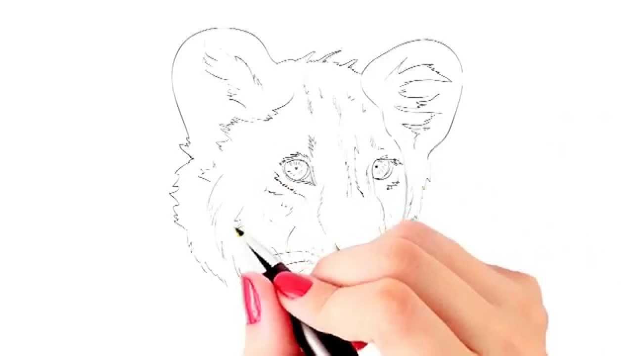 1280x720 How To Draw A Baby Lion Or Lion Cub Face Yzarts Yzarts