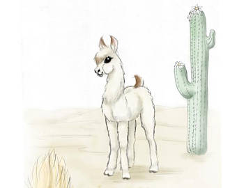 340x270 Baby Llama Etsy