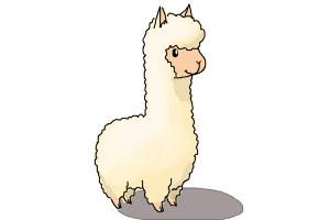 300x200 How To Draw A Llama For Kids