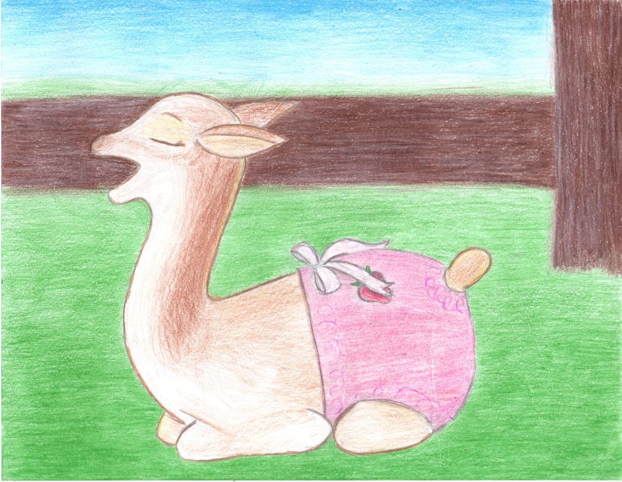 900x697 Yawning Baby Llama By Bornhuntress