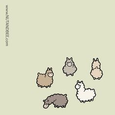 236x236 Llama Drawing