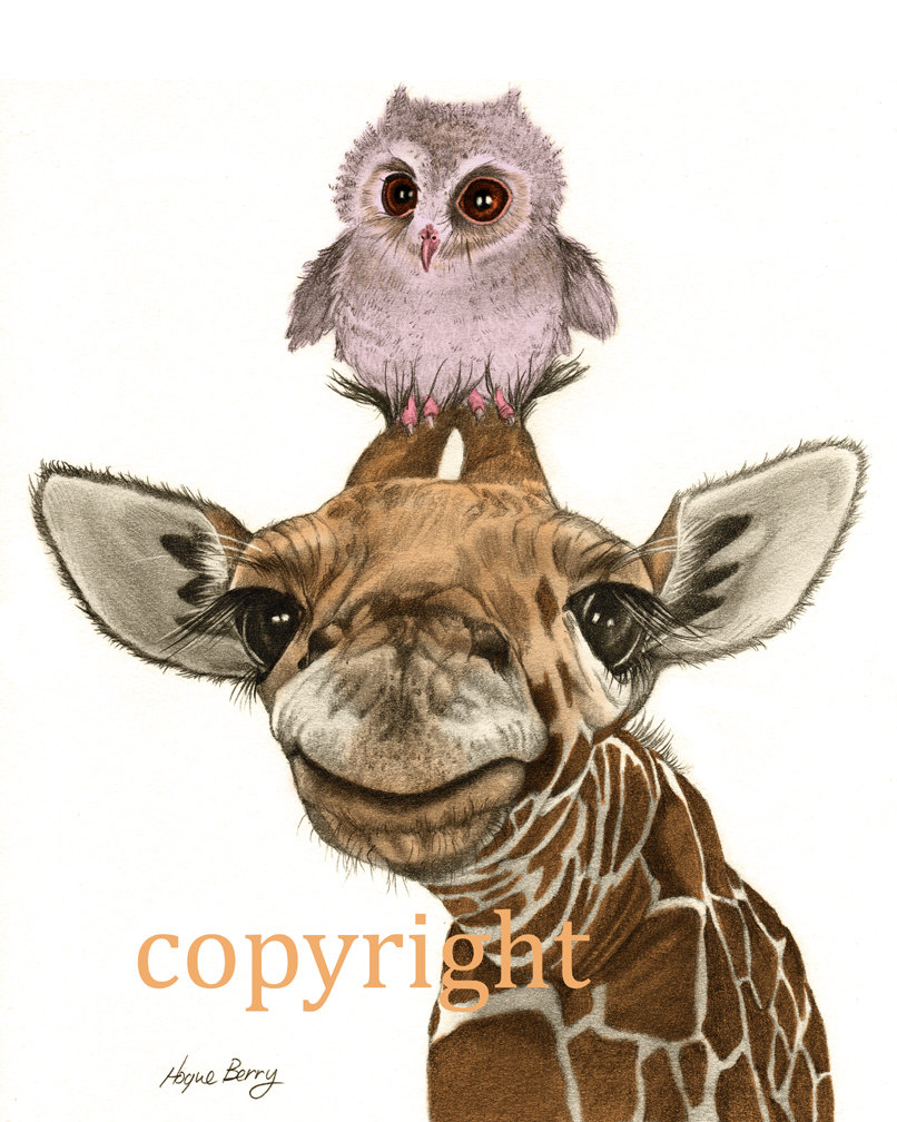 806x1008 Baby Giraffe, Baby Owl, Pencil Drawing, Colored, Nursery Room