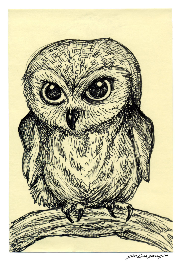 730x1095 Fierce Baby Owl By Meditatingbunny