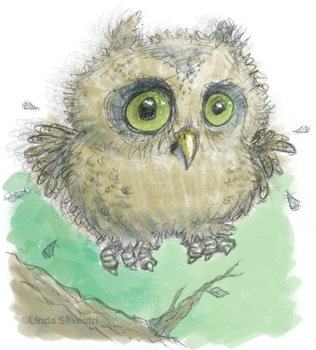 Baby Owl Drawing at GetDrawings | Free download