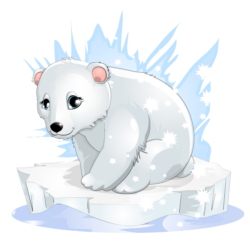810x790 Baby Polar Bear Drawing