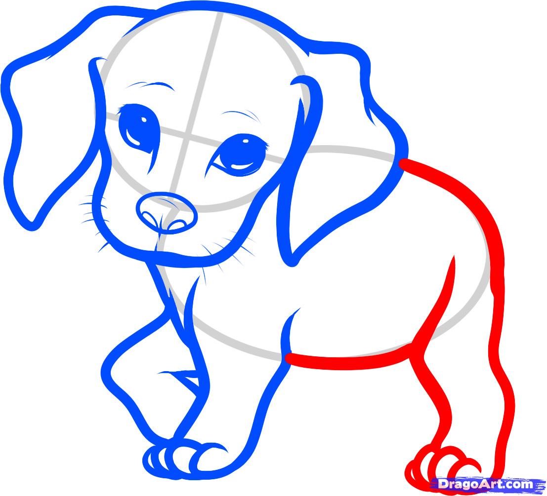 1107x1005 How To Draw A Beagle Puppy, Beagle Puppy Step 5 Cool