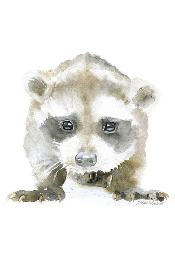 570x855 Baby Raccoon Watercolor Painting