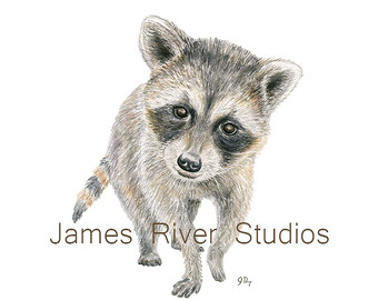 340x270 Raccoon Art Etsy