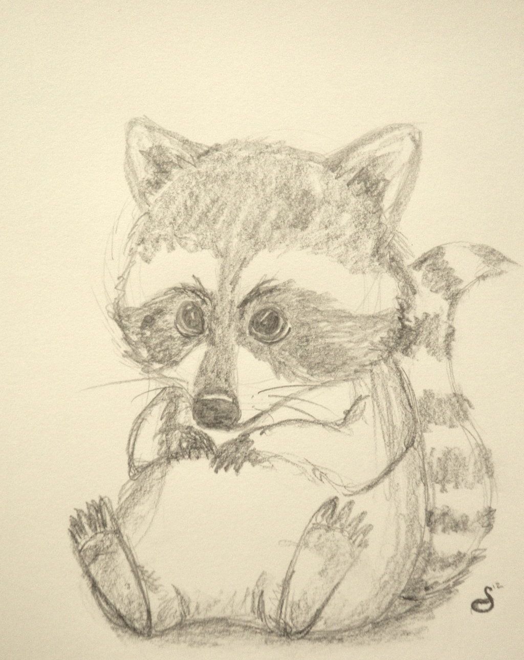 1024x1289 Baby Raccoon By Corastaur D5irtbt.jpg My Interests