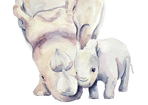 300x212 Baby Rhino Paintings Fine Art America