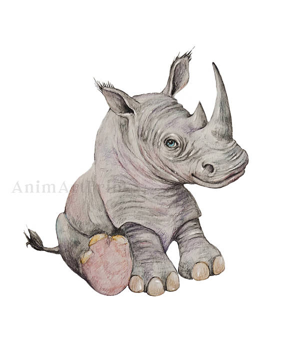 Baby Rhino Drawing at GetDrawings | Free download