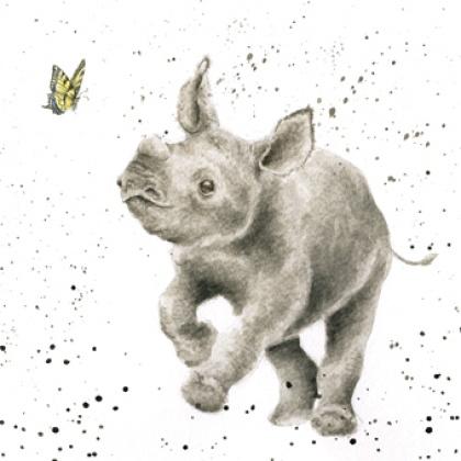 420x420 The Chase Baby Rhino Chases Butterfly Sp1209