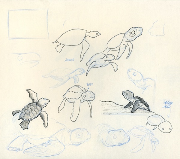 600x529 Seahorses, A Baby Sea Turtle, Amp Possibly A Dumbo Squid On Behance