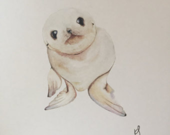 340x270 Baby Seal Art Etsy