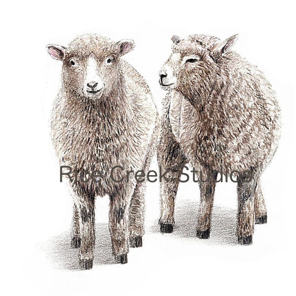 1000x999 Christmas Gift For Heraby Sheepsheep Artsheep Paintingsheep