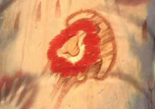 500x351 The Lion King Rafiki's Drawing Of Simba All Grown Up Copy