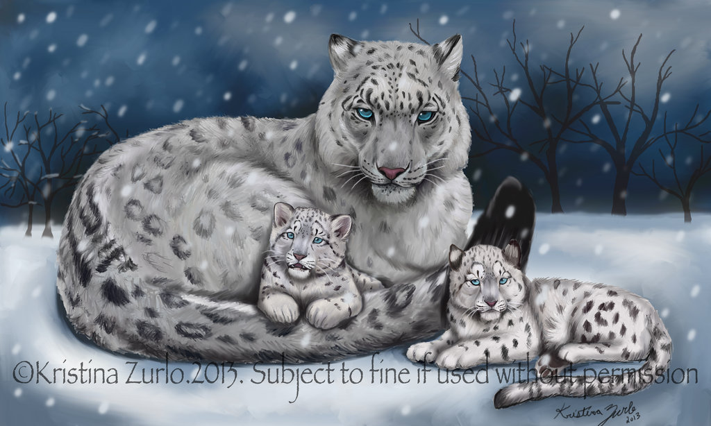 1024x614 Snow Leopard Family By Natsumewolf