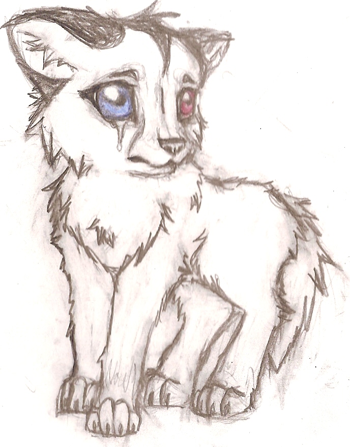 688x880 Baby Wolf Drawing.jpg Anime Wolf