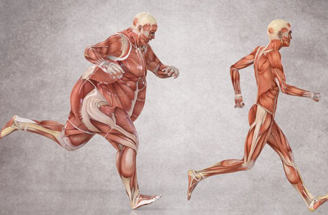 472x310 Back Pain Use Back Muscles Exercises With Spine Physiotherapy