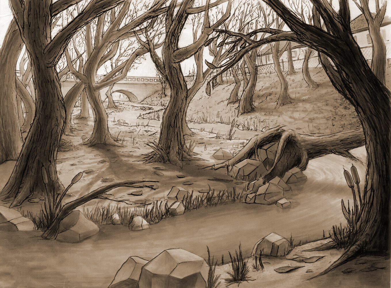 1359x1000 Drawing Backgrounds
