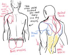 Backs Drawing at GetDrawings | Free download