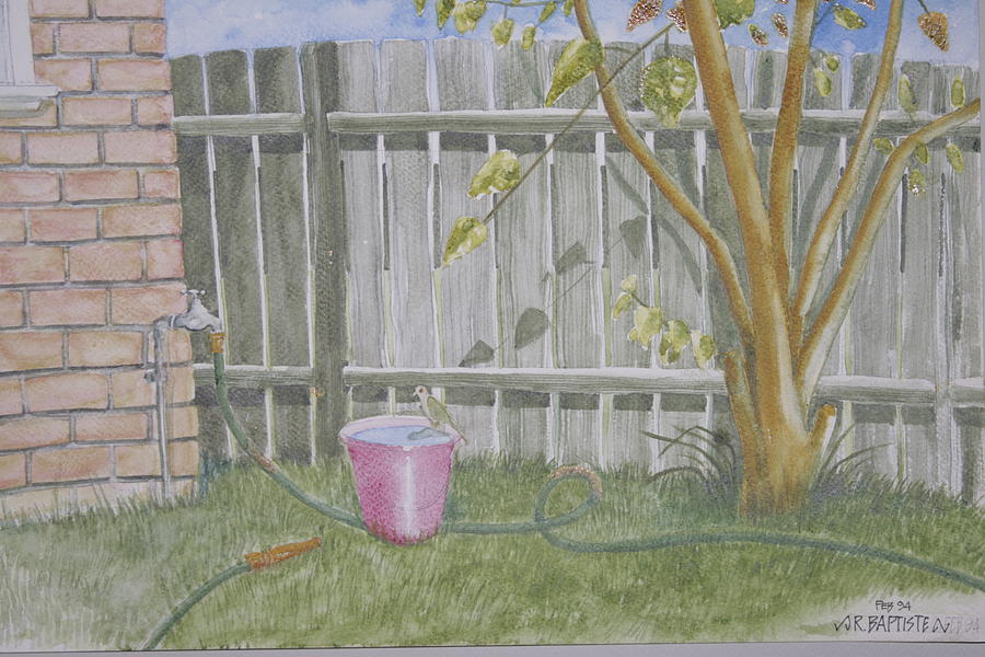 900x600 Backyard Drawing By Richard Baptiste