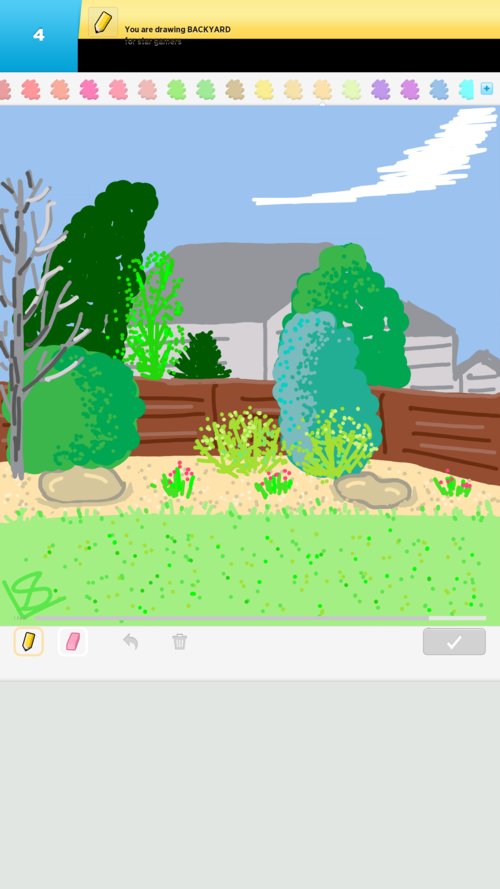 500x889 Backyard Drawings