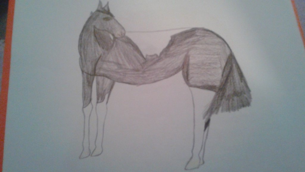 1024x576 Really Bad Drawing Of My Mare By Lovinglifeindisarray