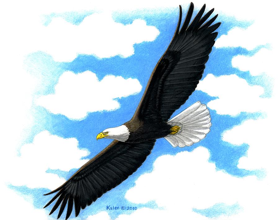 900x711 Bald Eagle In Flight Painting By Kalen Malueg
