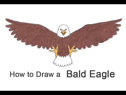 480x360 How To Draw A Bald Eagle (Cartoon)
