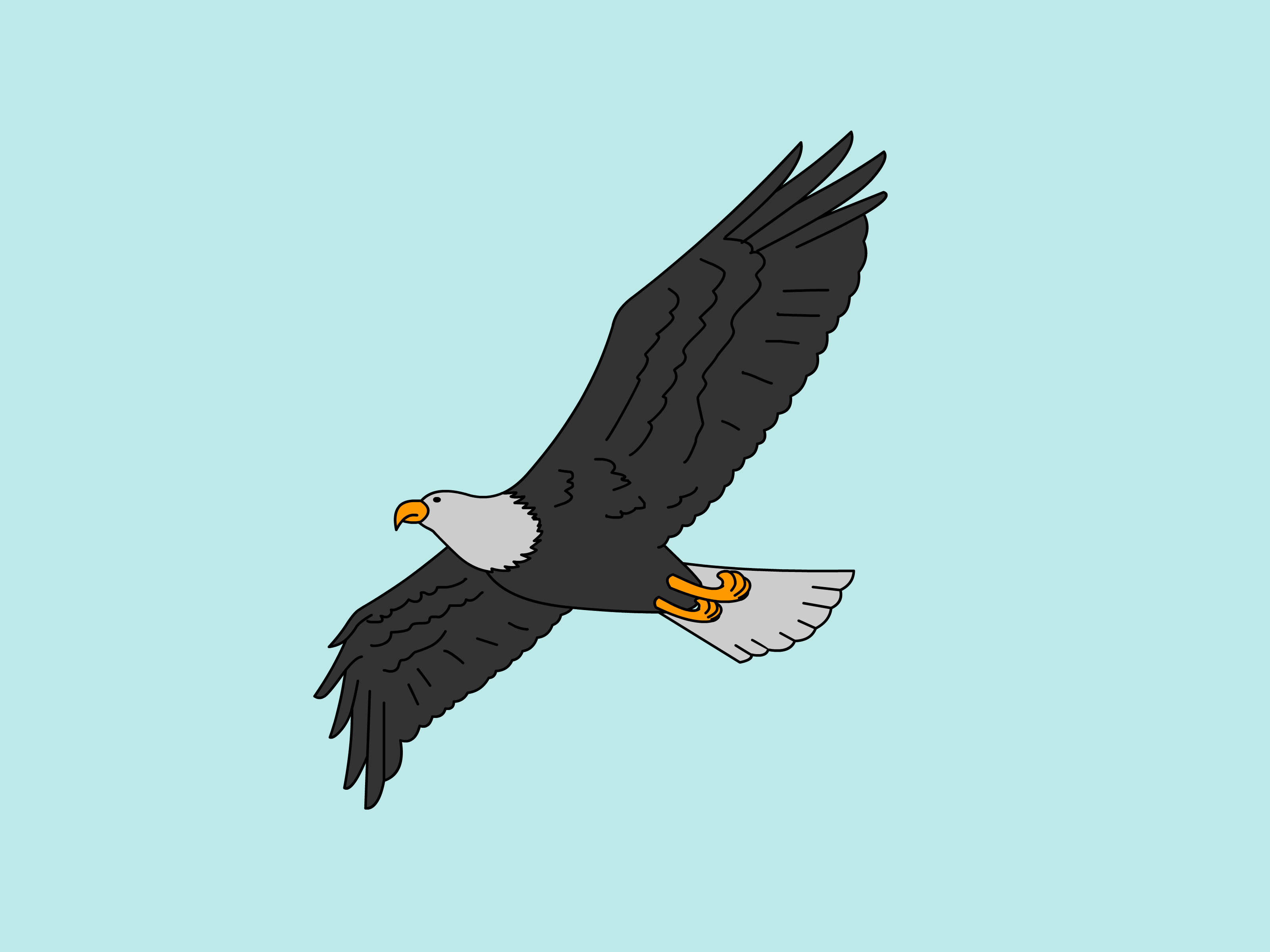 3200x2400 How To Draw A Bald Eagle 6 Steps (With Pictures)