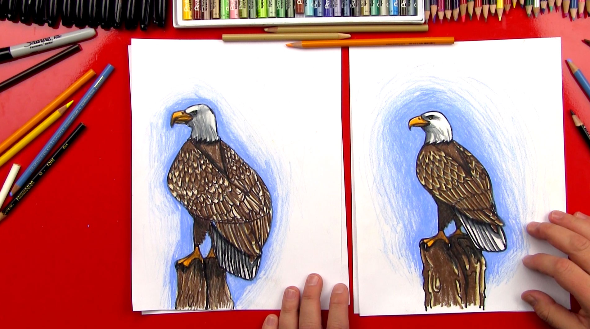 1901x1062 How To Draw A Realistic Bald Eagle