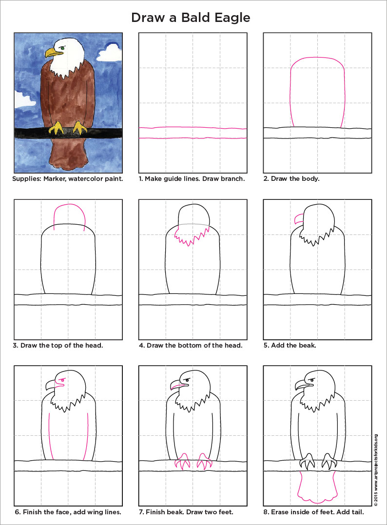 794x1077 How To Draw A Bald Eagle
