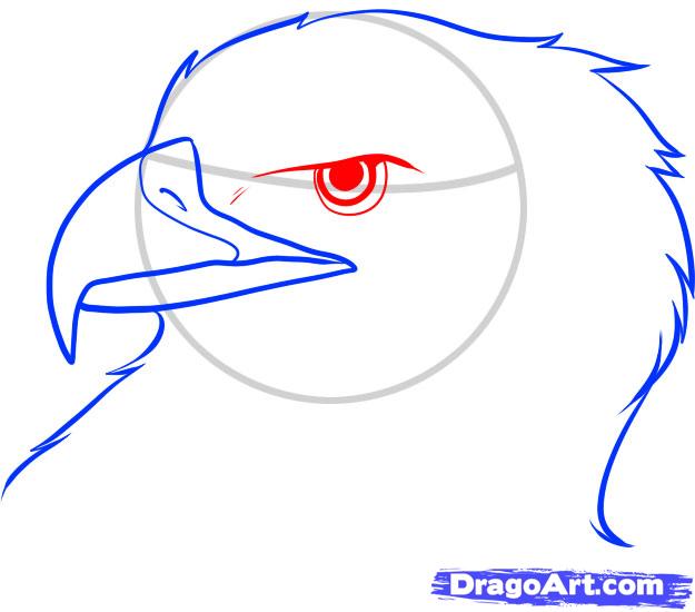 625x550 How To Draw An Eagle Head Step 5 Students Eagle