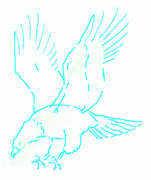 573x681 Exam Guide Online