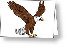 226x170 Bald Eagle Flying Drawing Digital Art By Aloysius Patrimonio