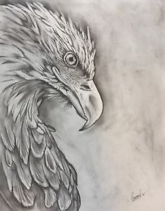 234x300 Original Eagle Pencil Drawing Ebay