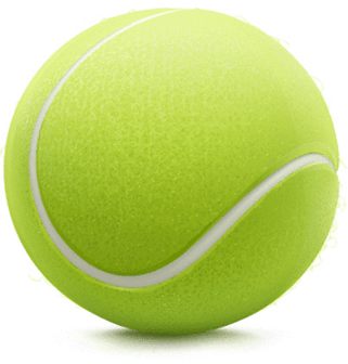 321x336 Tennis Ball Drawing Transparent Png