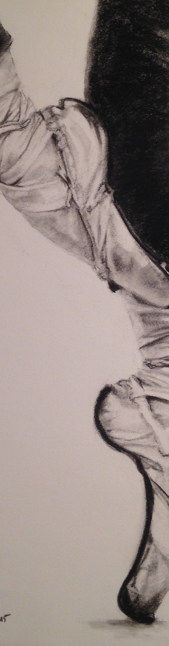 650x2475 Ballerina Feet 1 By Sharon Mcgovern Liberatchik