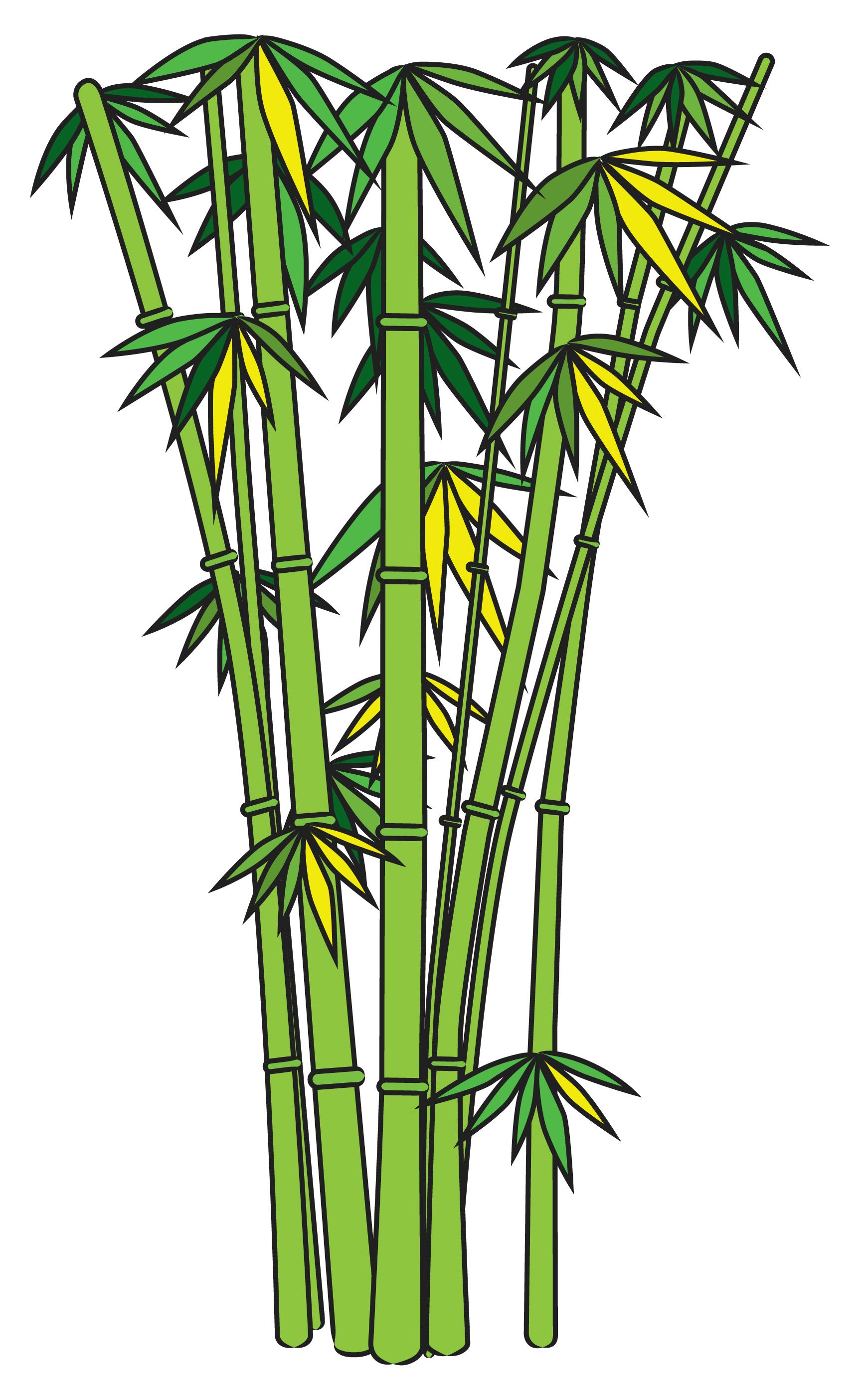 1741x2802 Draw Bamboo Symbols, Adult Coloring And Tutorials