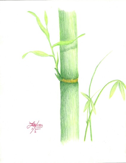 424x550 Colored Pencil Drawing I Did. Lisas Board