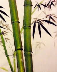 200x252 Resultado De Imagen Para Bamboo Pencil Drawing Orquideas Y Bambu