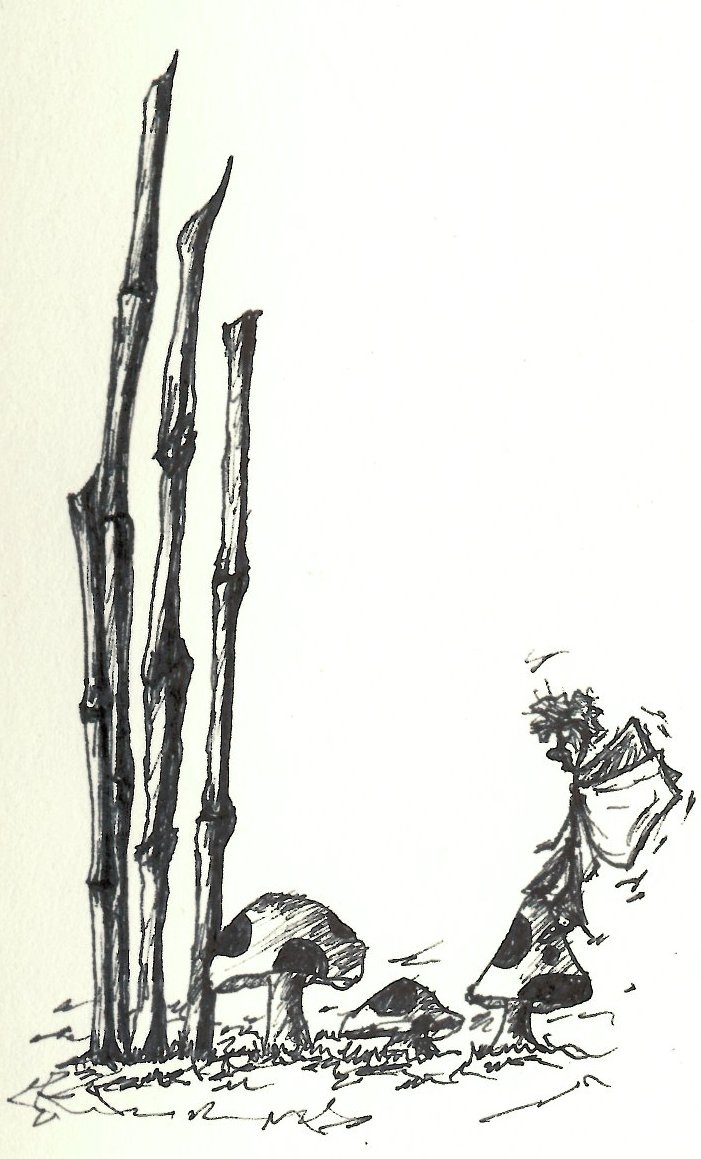 701x1159 Smoking, Mushrooms, Fairies Amp Bamboo Sketch Bw
