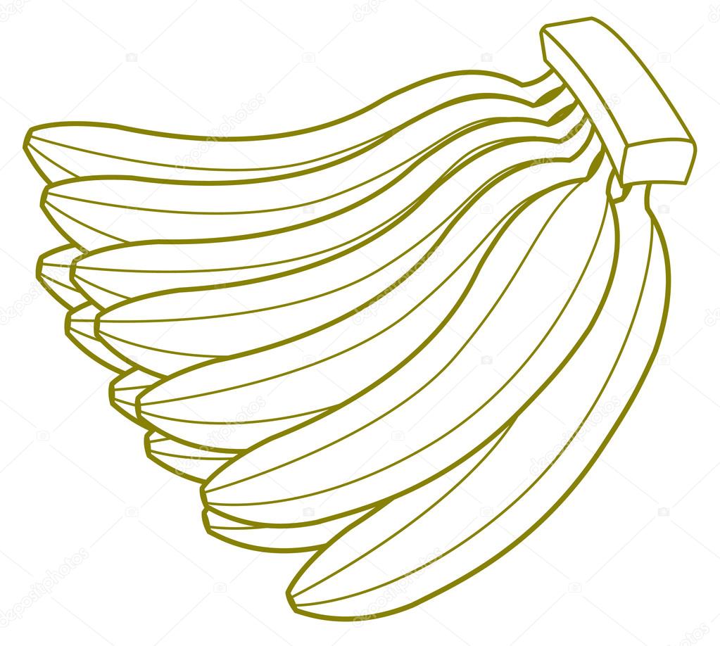1023x918 Bunch Of Bananas Drawing Stock Vector Baavli