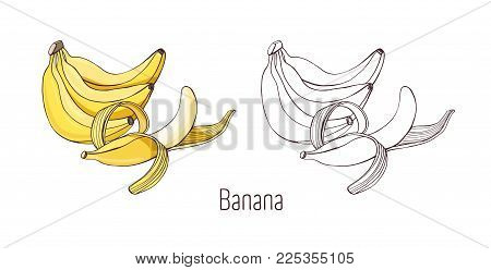 450x248 Colored Outline Monochrome Vector Amp Photo Bigstock