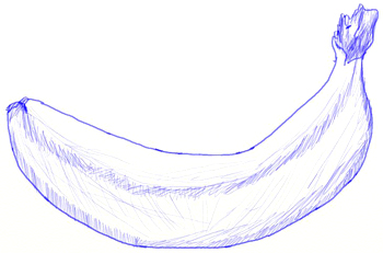 350x231 How To Draw A Banana