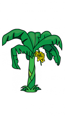 215x382 How To Draw A Banana Tree Step 11 Beautiful! Tutorials