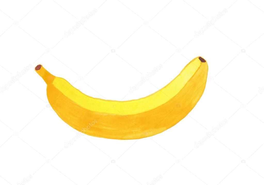 1023x719 Watercolor Banana Drawing Isolated On White Background Stock