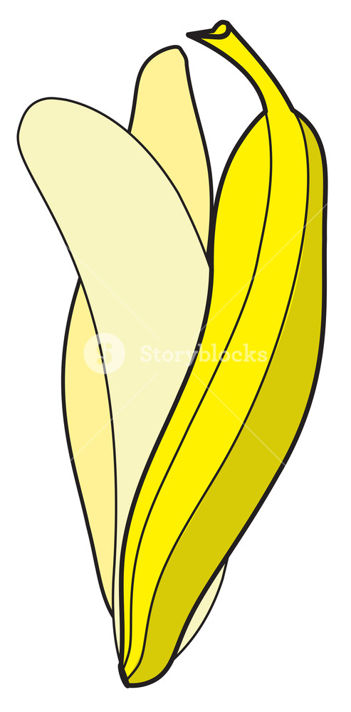 493x1000 Peel Off Banana Drawing Vector Royalty Free Stock Image